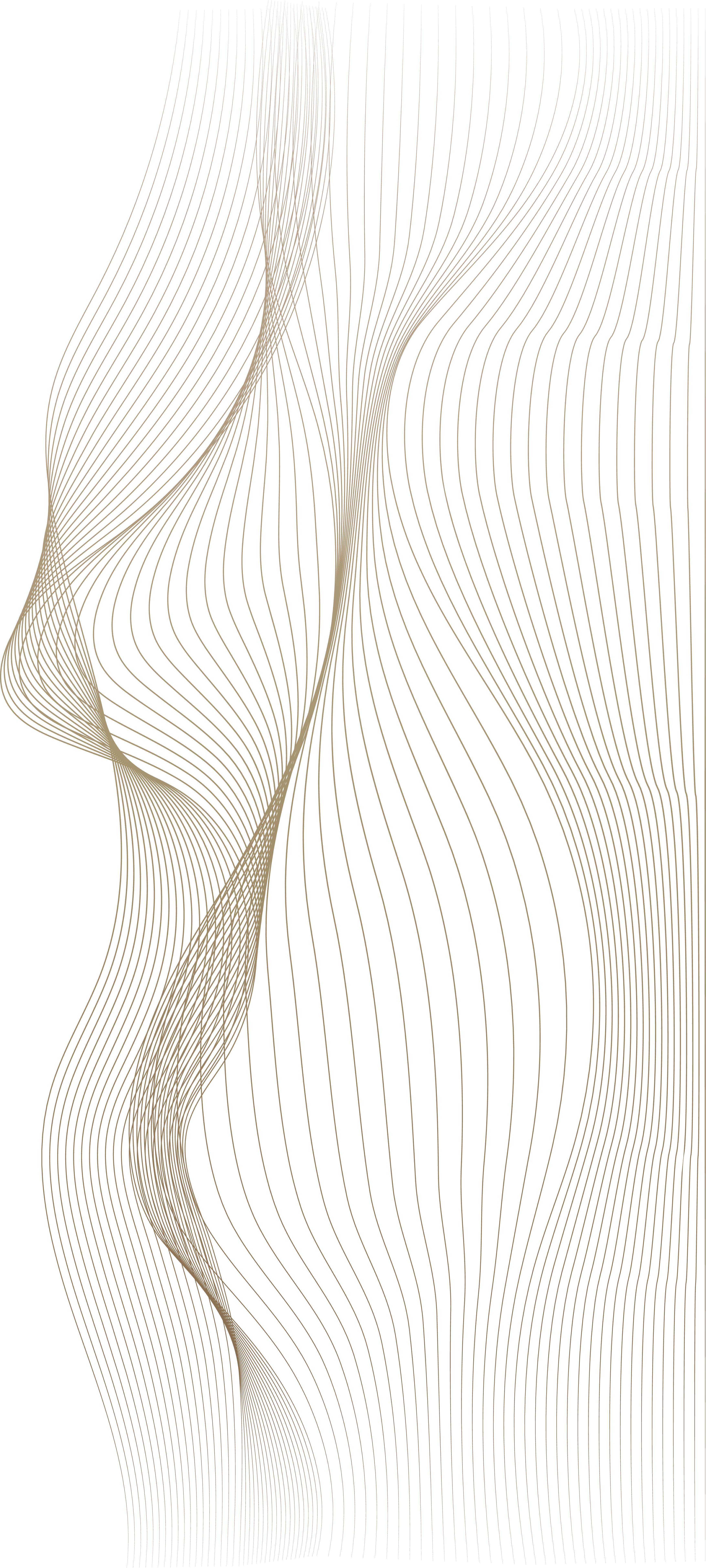 Decorative Pattern